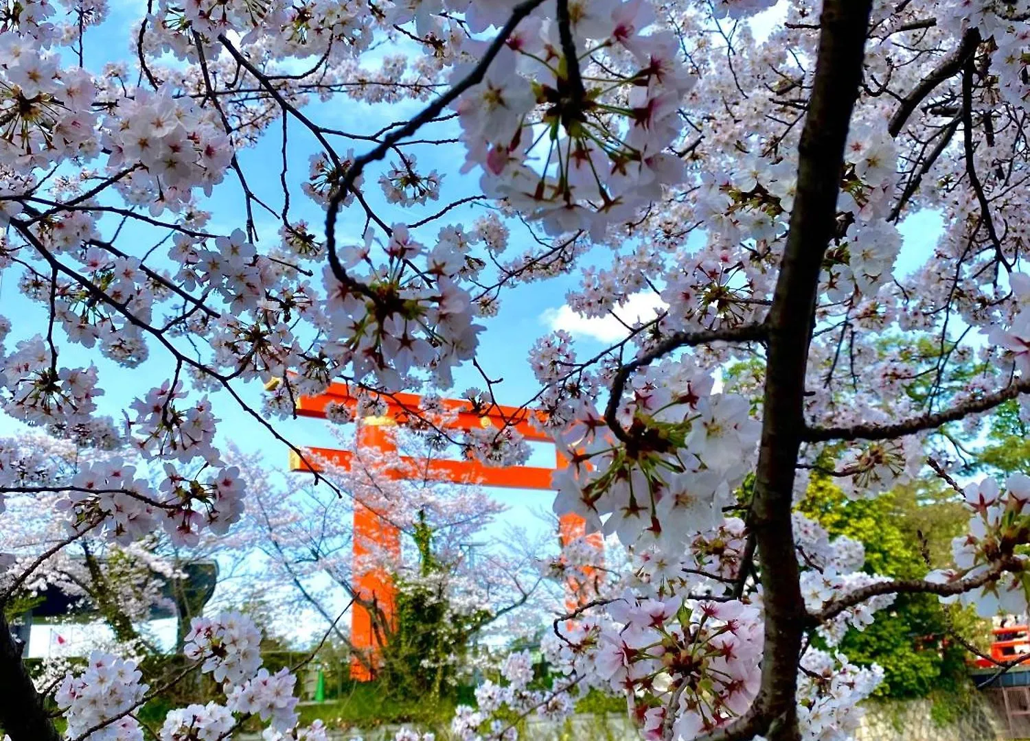 ホテルエスノグラフィー東山三条 京都市 3*,